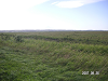 s_PICT0089_thumb.png